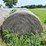 2024-mixed-grass-hay-round-bales-(bid-per-unit)-image-6