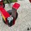 2019-massey-ferguson-1510-image-18