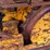 deere-450d-image-7