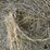 2024-mixed-grass-hay-round-bales-(bid-per-unit)-image-8
