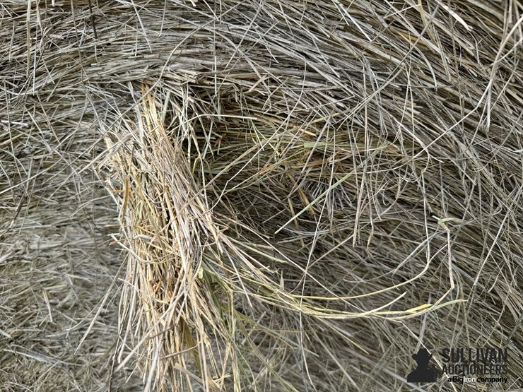 2024-mixed-grass-hay-round-bales-(bid-per-unit)-image-8