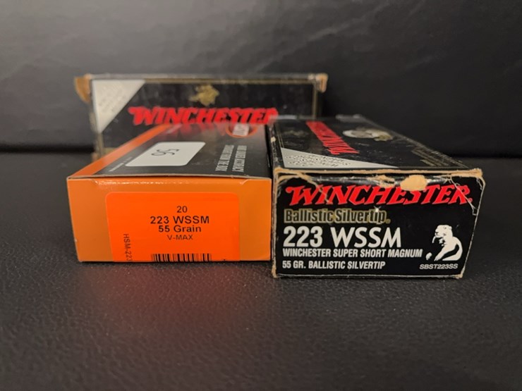 223-wssm-(ammo)-image-2