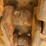 2019-caterpillar-d6t-lgp-image-18