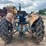 ford-3000-image-3