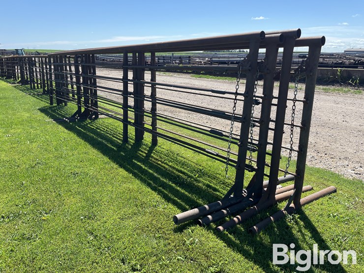 feedlot-panels-image-5