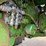 1977-john-deere-4230-image-38