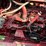 case-ih-1660-image-32