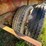 #8398-•-45'-t/a-steel-flatbed-trailer-image-8