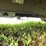#1033-•-2023-chevy-express-van-(has-wi-salvage-title)-image-86