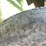 balzer-1200-image-12