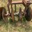 rhino-160-image-9