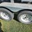 ads-bulk-seed-buggy-image-7
