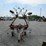 new-idea-4217-image-1