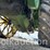 john-deere-d-image-5
