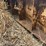 #26628-•-8'-levee-butt-blade-image-6