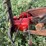rowse-d9-image-4