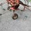 new-idea-4217-image-4