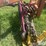 new-holland-540-image-19