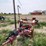 rowse-d9-image-3
