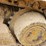 caterpillar-931b-image-76