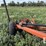rowse-d9-image-8