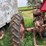 farmall-m-tractor-image-13