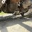 #1011-•-2007-international-truck-(has-wi-title)-image-20