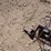 mayrath-8x61-image-14