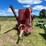 #1078-•-brady-650-feed-grinder-mixer-image-2