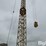 1981-liebherr-33k-image-18