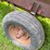 6ft-x-12ft-steel-silage-wagon-image-9