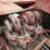 massey-ferguson-12-image-5