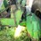 john-deere-6620-image-14