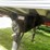 #1019-•-1988-ti-brook-frameless-end-dump-trailer-(independence,-wi)-(has-wi-title)-image-26