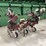 noble-row-runner-image-3