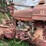 farmall-m-tractor-image-9