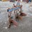 ford-140-image-4