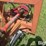 new-holland-540-image-8