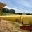 #26612-•-westfield-mk-13c-71-71'-grain-auger-image-39