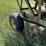 john-deere-605-image-7