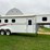 #1030-•-1999-bison-aluma-sport-horse-trailer-(arcadia,-wi)-(wi-title-in-delay)-image-8