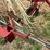 #26606-•-sitrex-columbia-tr1113-hay-rake-image-42