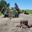 allis-chalmers-24-image-2