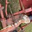 case-ih-1300-image-12