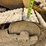 caterpillar-931b-image-61