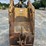 cp-excavator-bucket-image-2