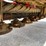 #1053-•-2013-new-holland-n7450-discbine-image-25
