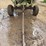 parker-200bu-seed-tender-wagon-image-14