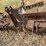 #26625-•-mcgee-ds-67"-box-blade-image-9