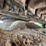 2018-komatsu-pc55mr-image-77